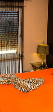Pinky Lounge: Ambiente